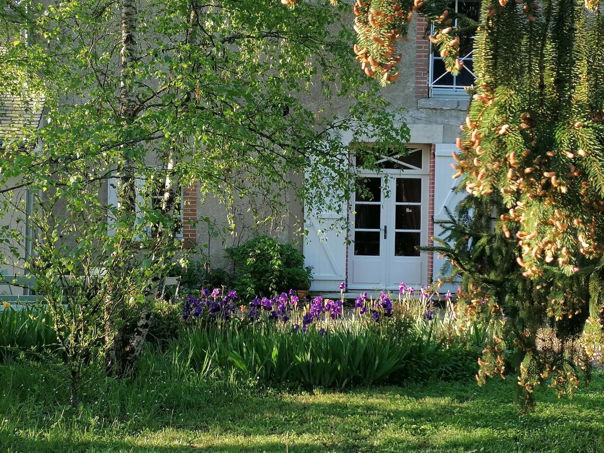 La Robiniere Maison D'Hotes Mont-près-Chambord Exterior foto